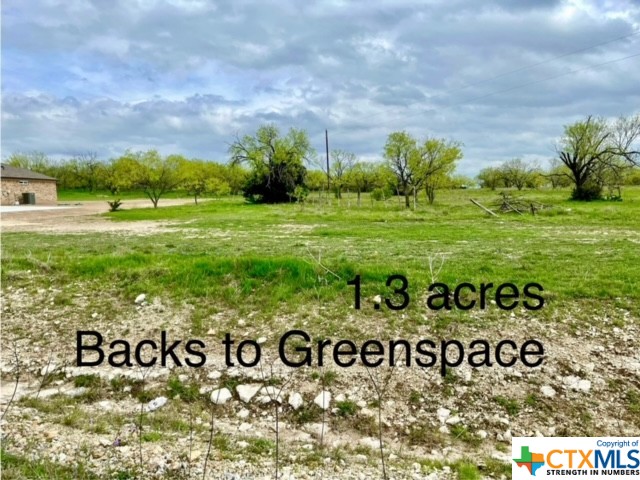 View Kempner, TX 76539 land