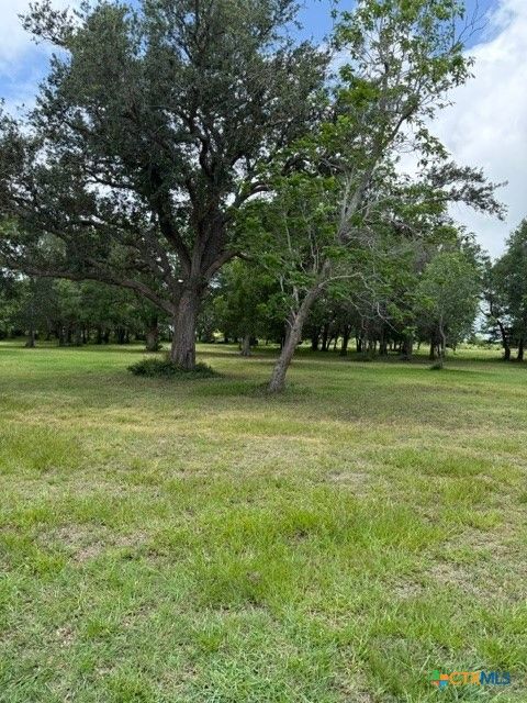 Photo of 19313 State Highway 172, La Ward, TX 77970 (MLS # 616570)