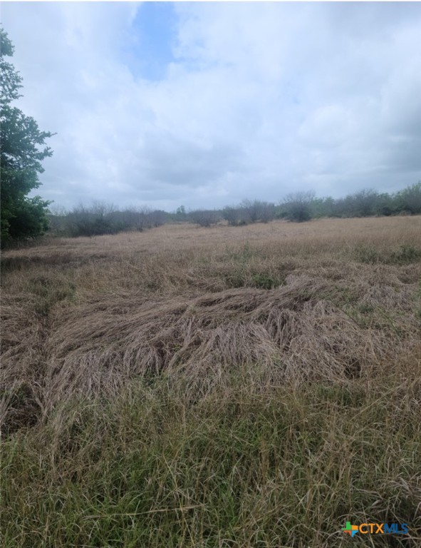 TBD Zac Lentz Parkway