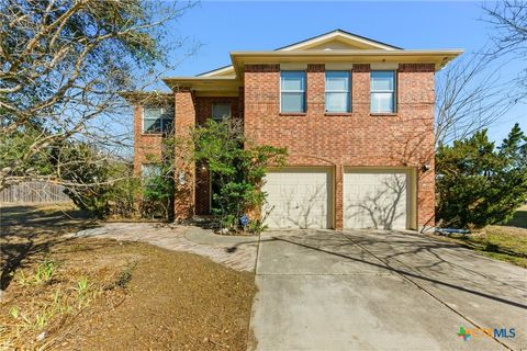 Photo of 113 Spring Branch Cove, Kyle, TX 78640 (MLS # 604157)
