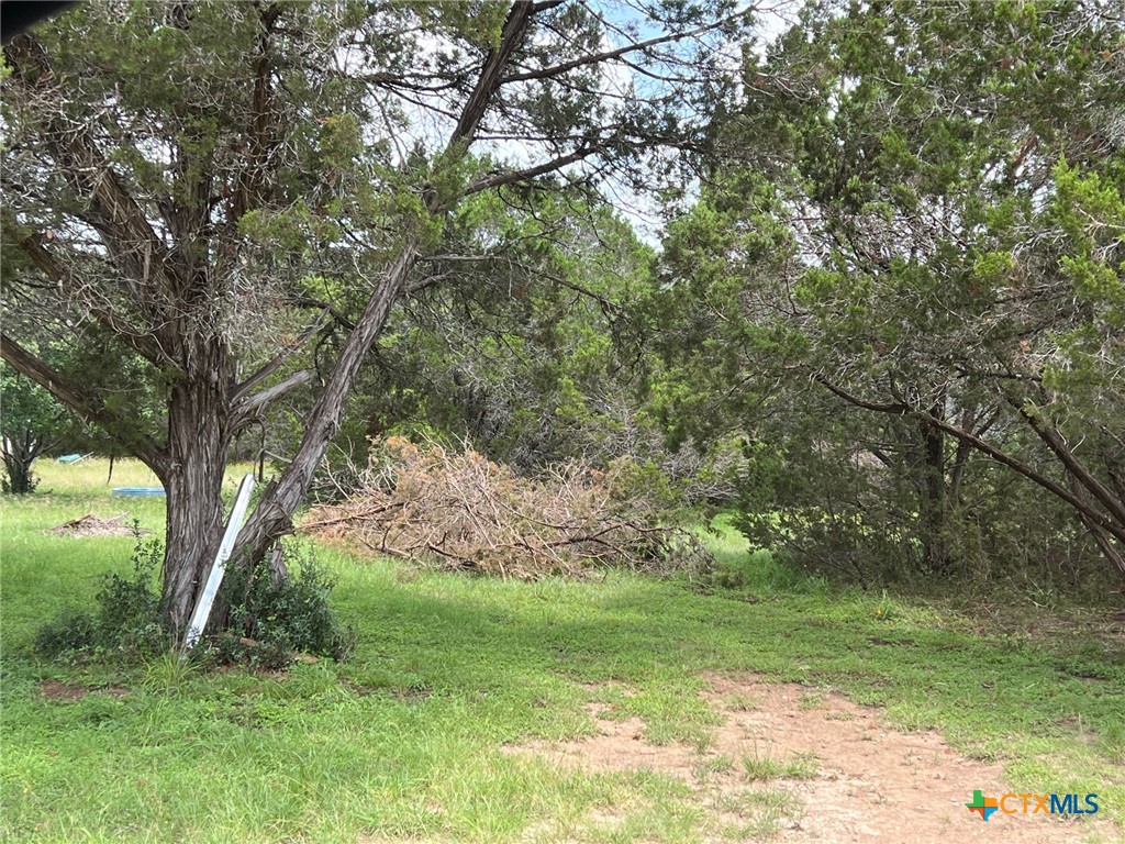 Canyon Lake, Texas 78133, United States, ,Land,Active,157418