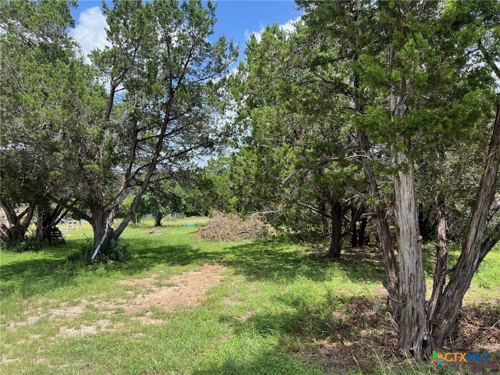Canyon Lake, Texas 78133, United States, ,Land,Active,157418