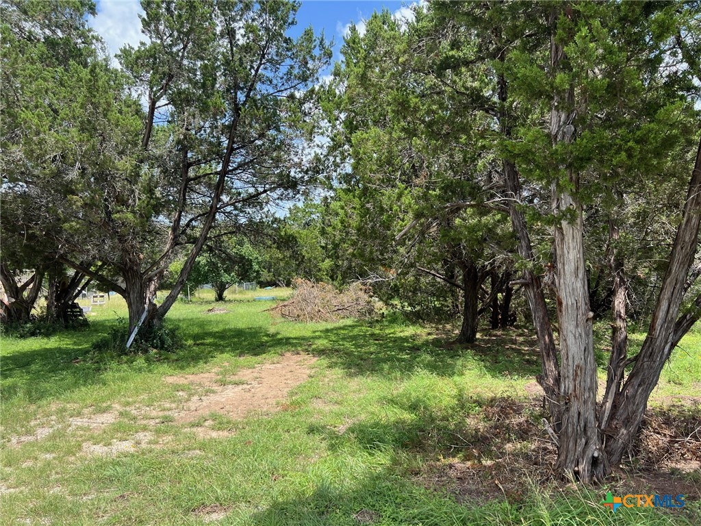 Canyon Lake, Texas 78133, United States, ,Land,Active,157418