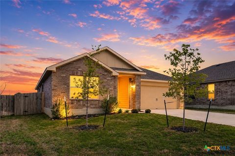 Photo of 229 Finstown Street, Hutto, TX 78634 (MLS # 613838)