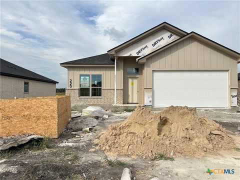 Photo of 220 Desert Holly Drive, Temple, TX 76502 (MLS # 599460)