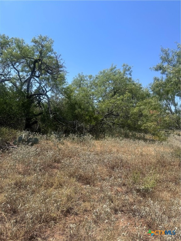 6032 County Road 405