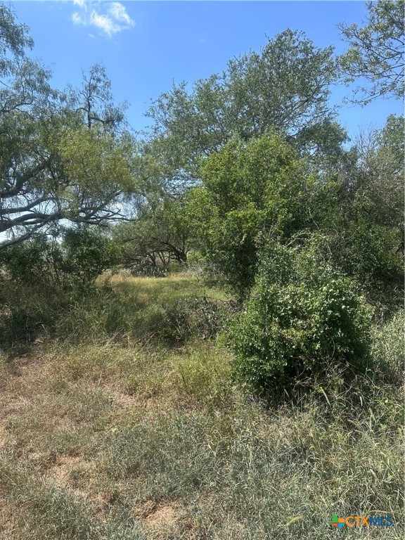 6032 County Road 405