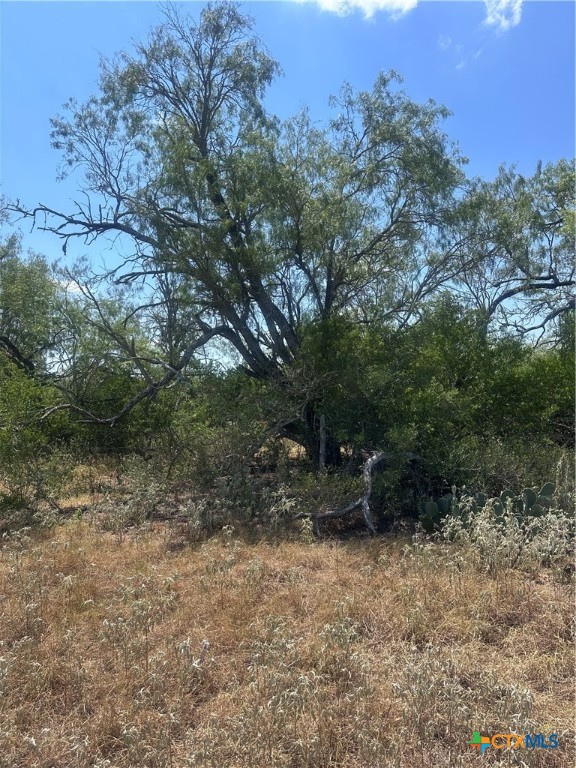 6032 County Road 405