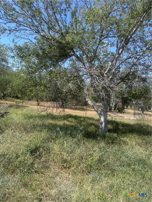 6032 County Road 405