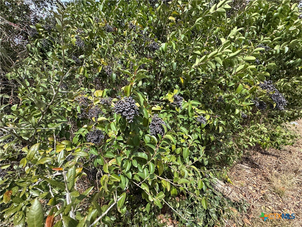 TBD Arrowhead Point Road