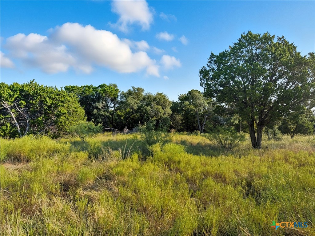 Lot 24 Ph 4 Pr 42126