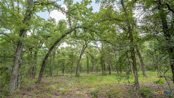 418 COUNTY RD 405, BUCKHOLTS, TX 76518 - Image b3958e49d4e272b0f6c8a5cc6ea83ac0/2272418066