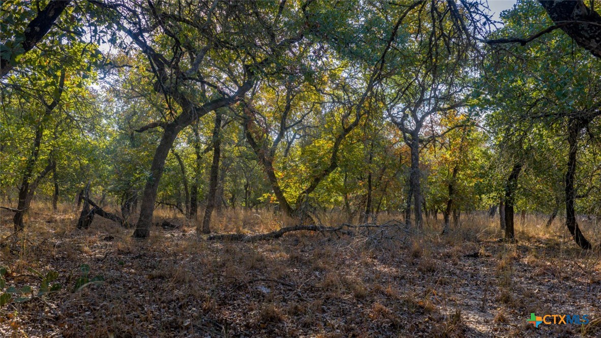 Tract 17 & 18 Sandstone Ln