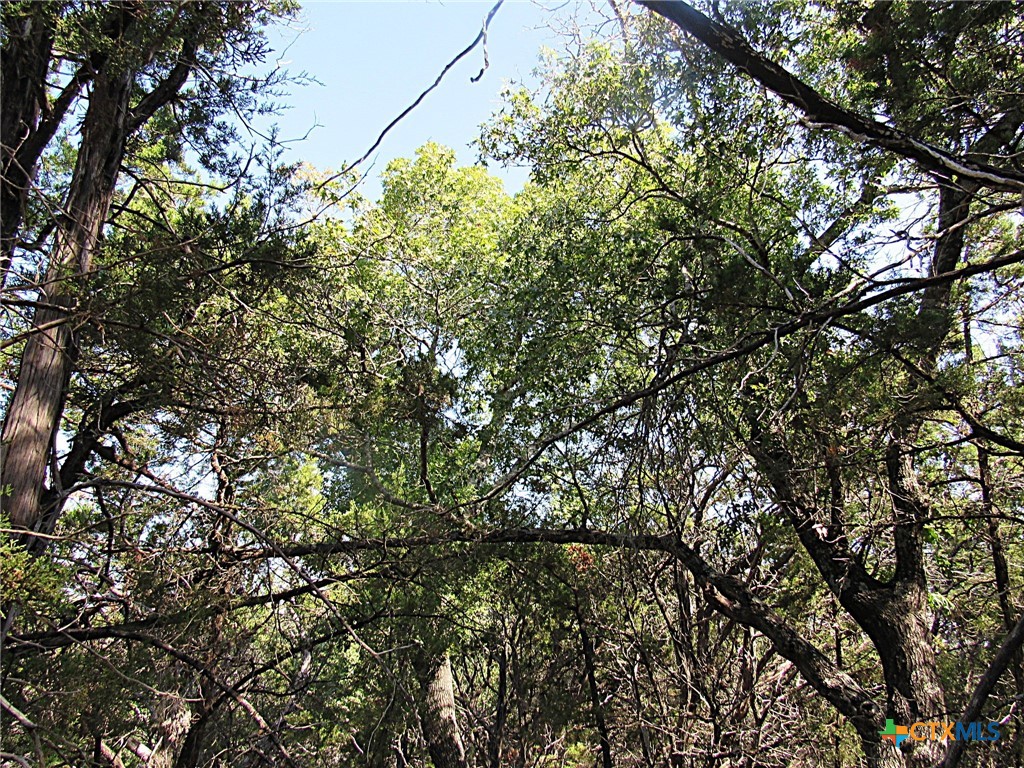 3901 Stillhouse Drive