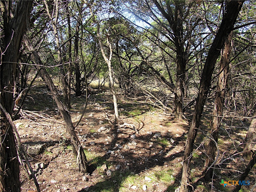 3901 Stillhouse Drive