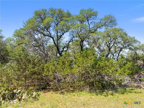 Photo of 1530 Misty Lane, Spring Branch, TX 78070 (MLS # 609990)