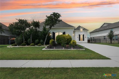 1104 Scenic Oaks Drive Georgetown TX 78628