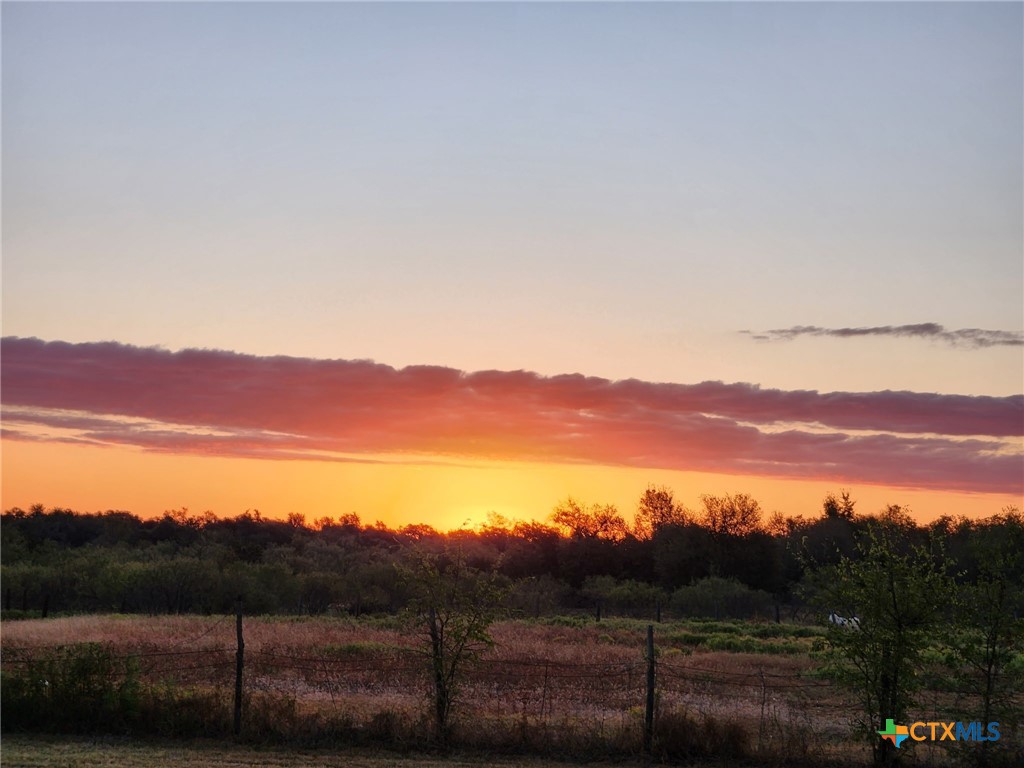 18751 State Highway 95