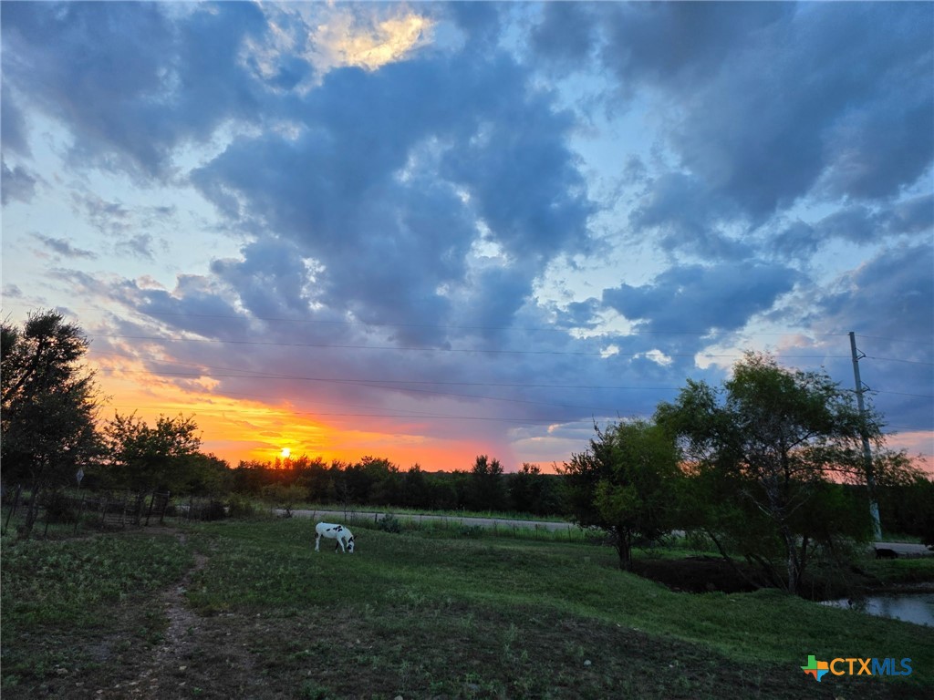 18751 State Highway 95