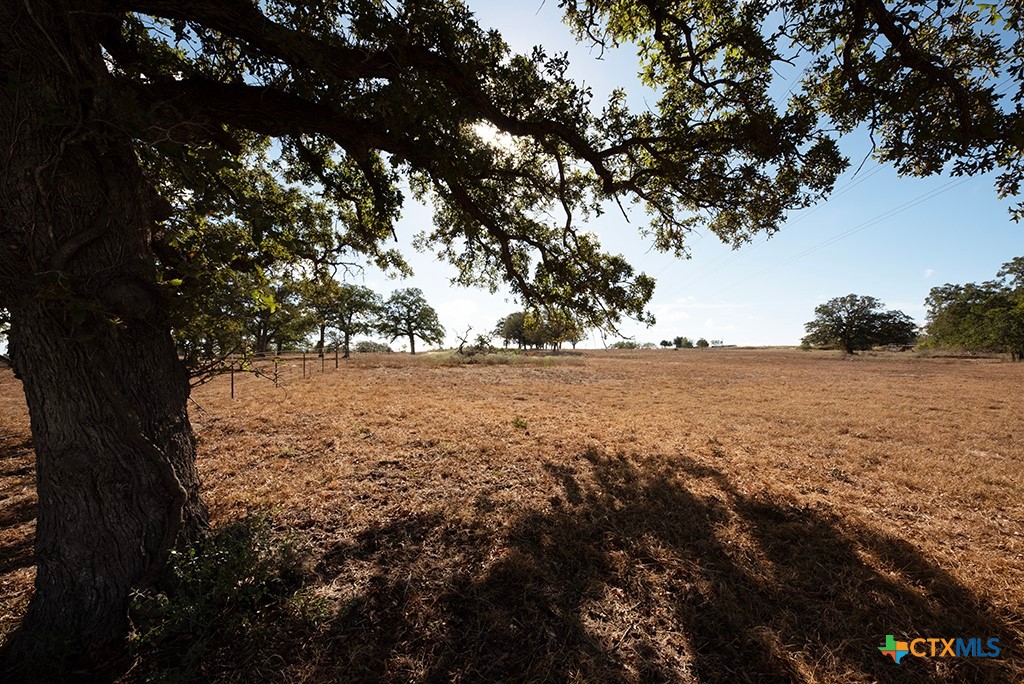 Stockdale, Texas 78160, United States, ,Land,Active,34896