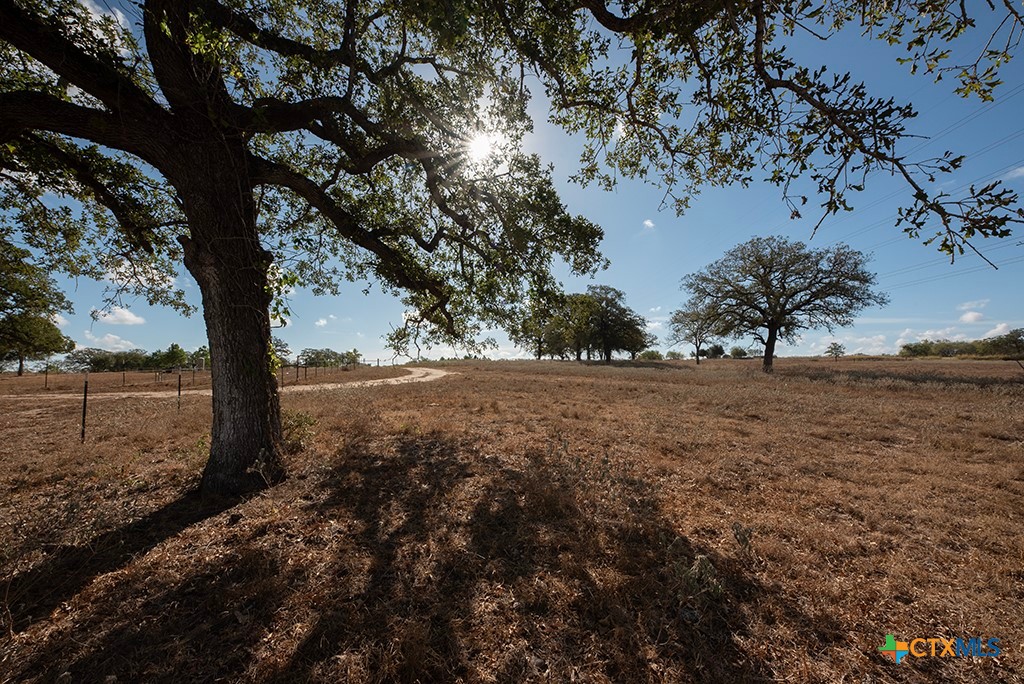 Stockdale, Texas 78160, United States, ,Land,Active,34896