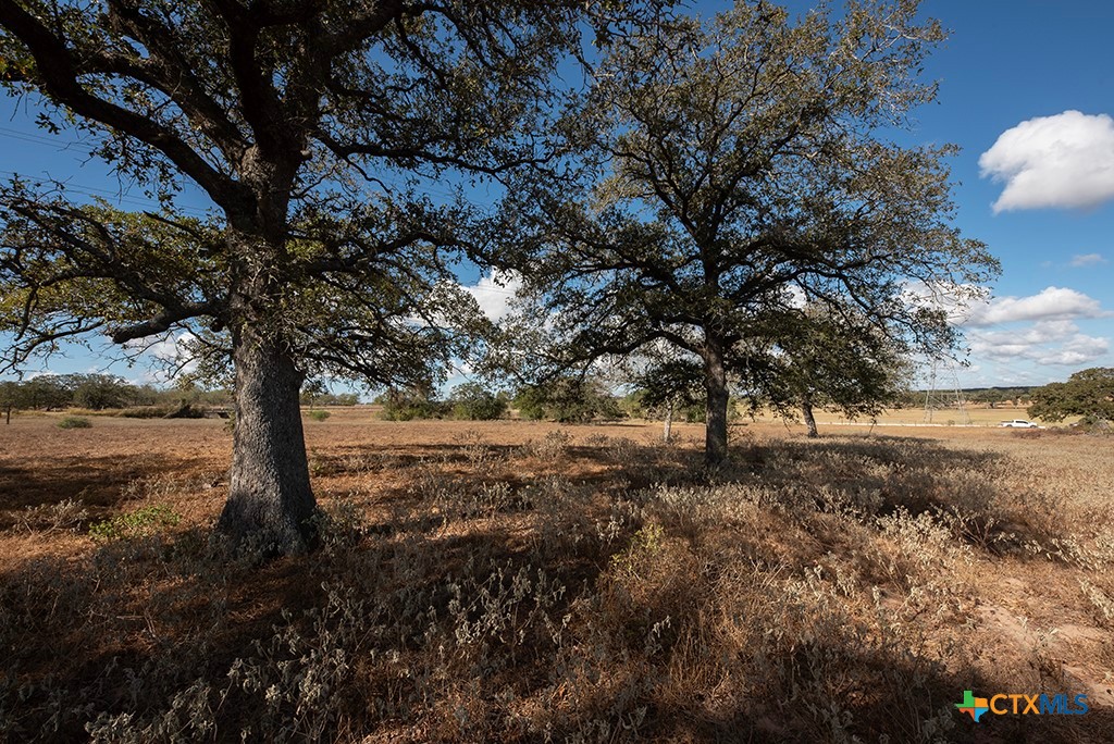 Stockdale, Texas 78160, United States, ,Land,Active,34896