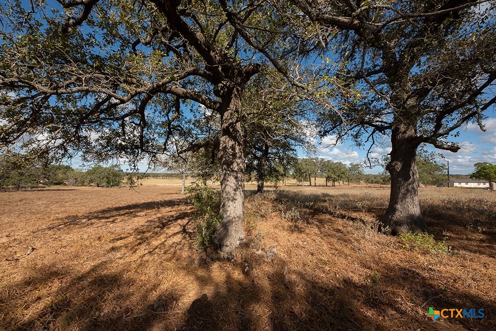 Stockdale, Texas 78160, United States, ,Land,Active,34896