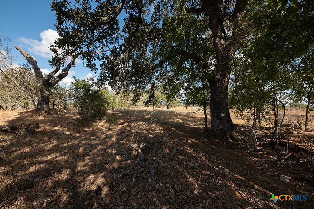 Stockdale, Texas 78160, United States, ,Land,Active,34896