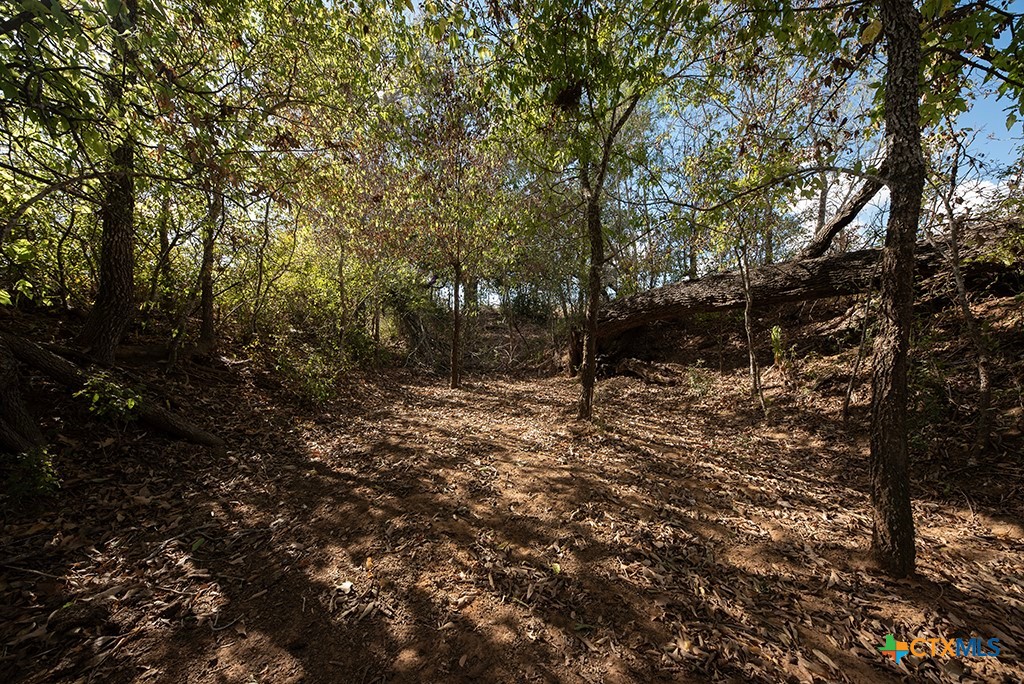 Stockdale, Texas 78160, United States, ,Land,Active,34896