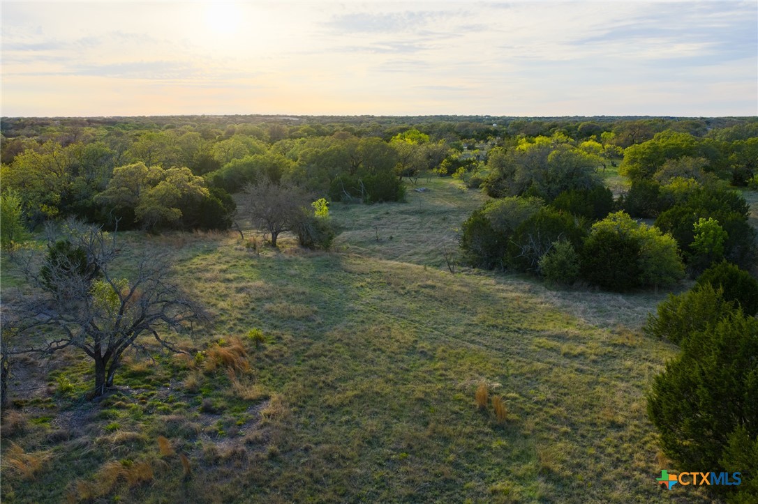 405 Blackjack Oak Drive