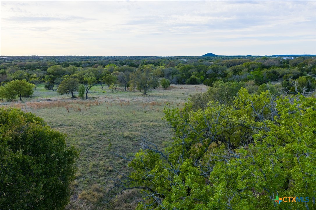 405 Blackjack Oak Drive