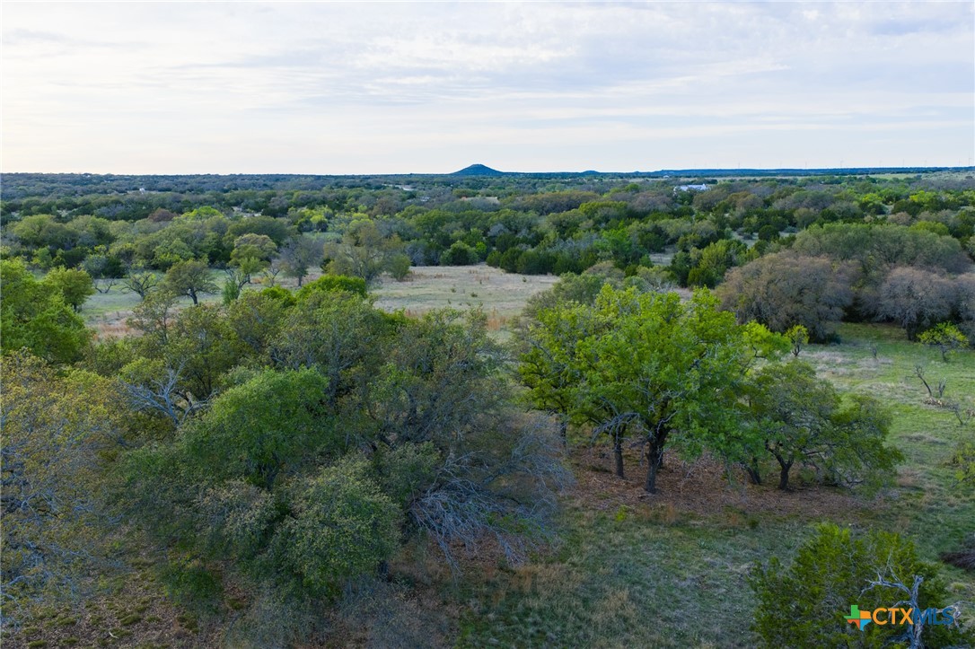 405 Blackjack Oak Drive
