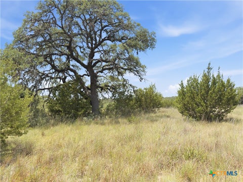 Photo of 963 Summit Ridge Trail, Johnson City, TX 78636 (MLS # 622058)