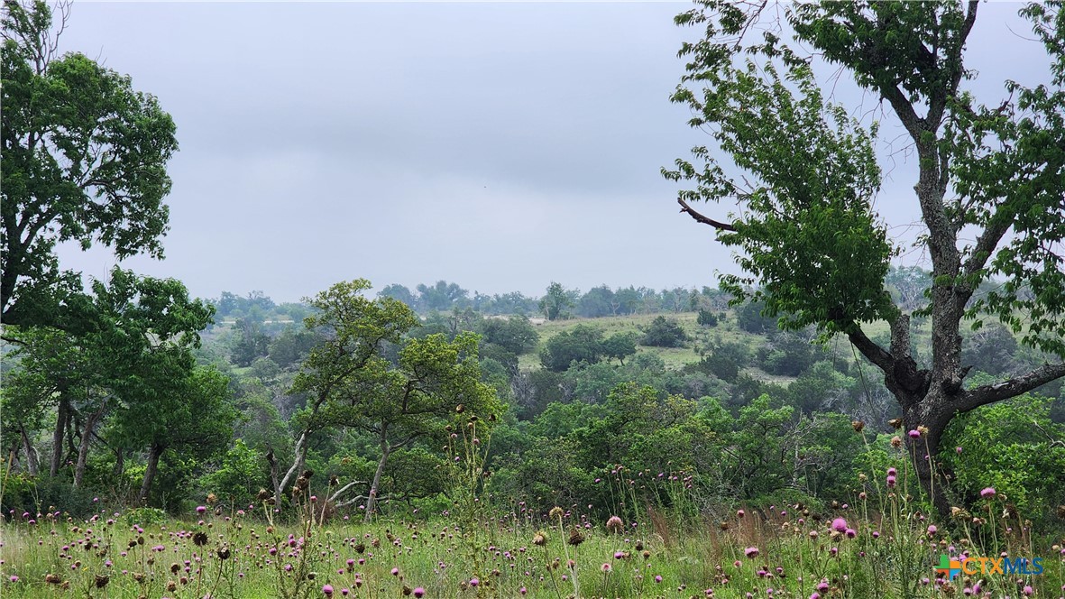 Lot 48 Ridgeline Road