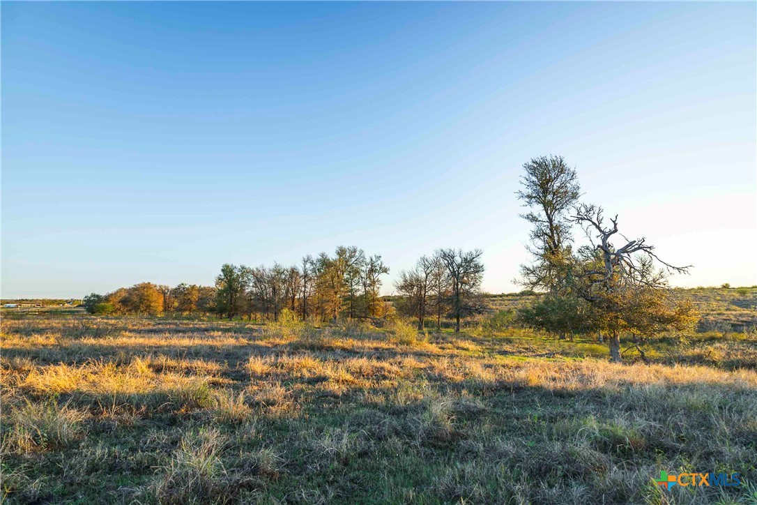 3191 County Road 463