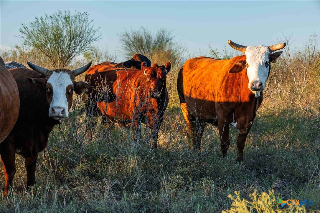 3191 County Road 463