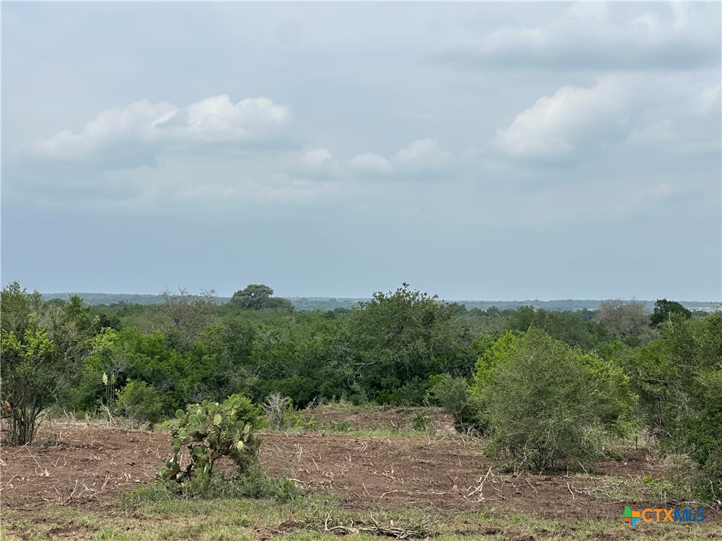 View Goliad, TX 77963 land