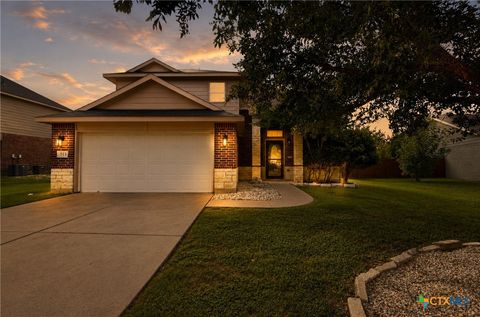 Photo of 513 Pumpkin Drive, Temple, TX 76513 (MLS # 620868)