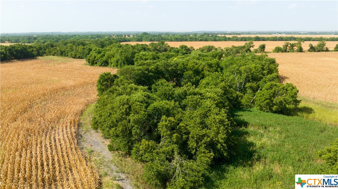 TBD County Road 418B