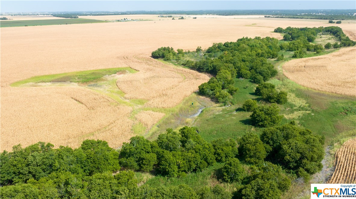 TBD County Road 418B