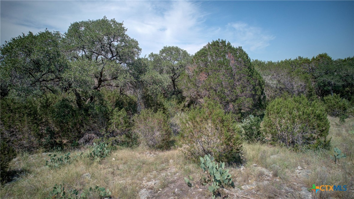 New Braunfels, Texas 78132, United States, ,Land,Active,136295