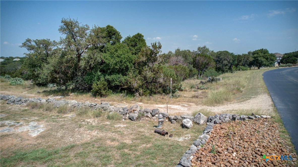 New Braunfels, Texas 78132, United States, ,Land,Active,136295