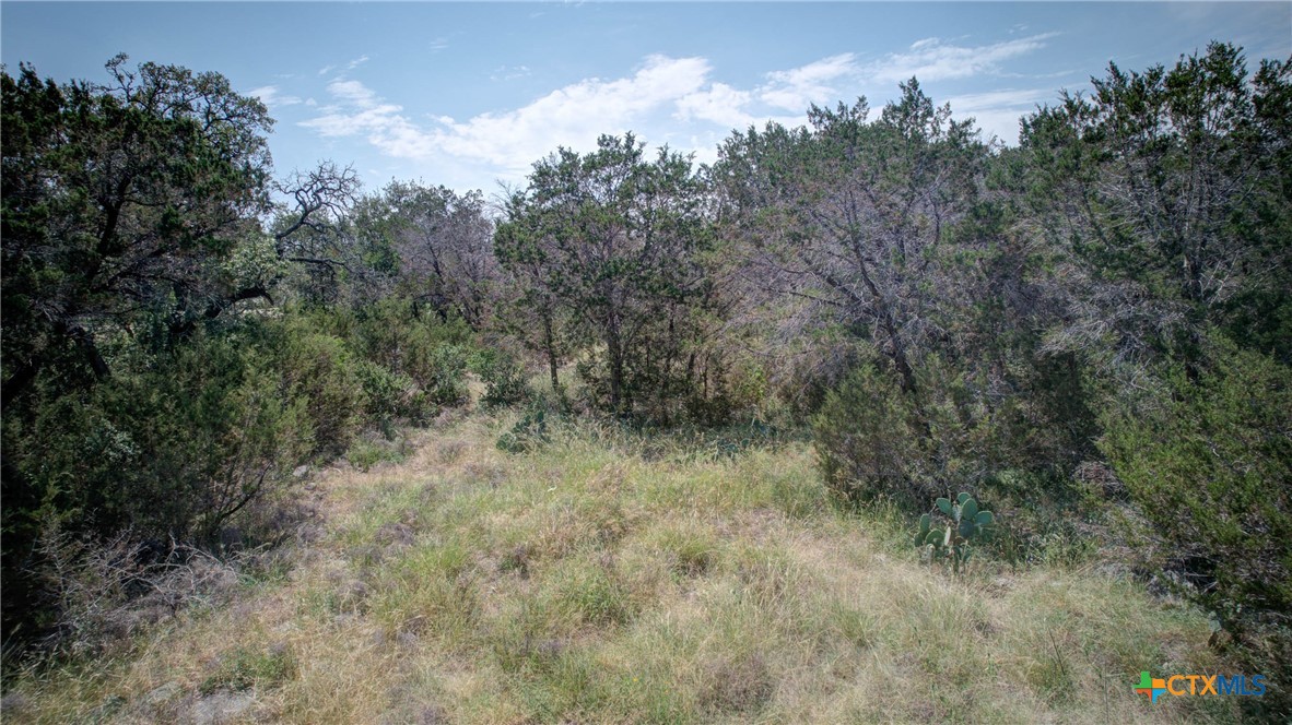 New Braunfels, Texas 78132, United States, ,Land,Active,136295