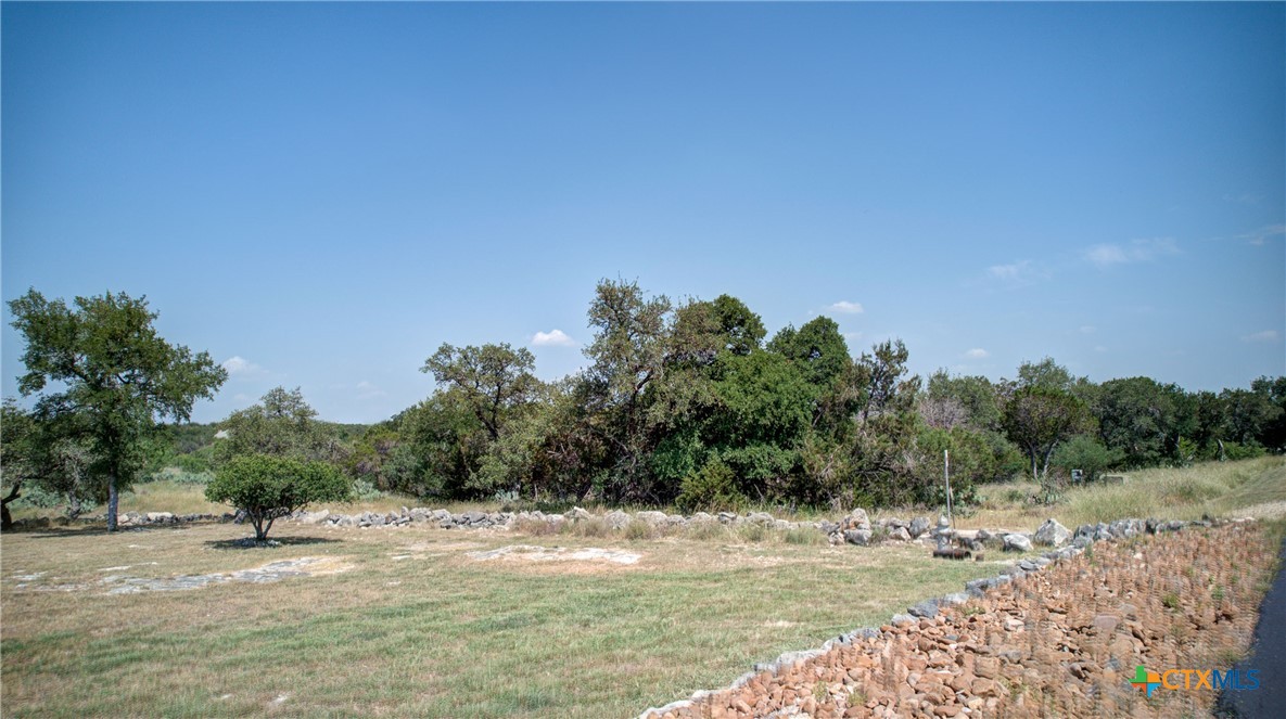 New Braunfels, Texas 78132, United States, ,Land,Active,136295