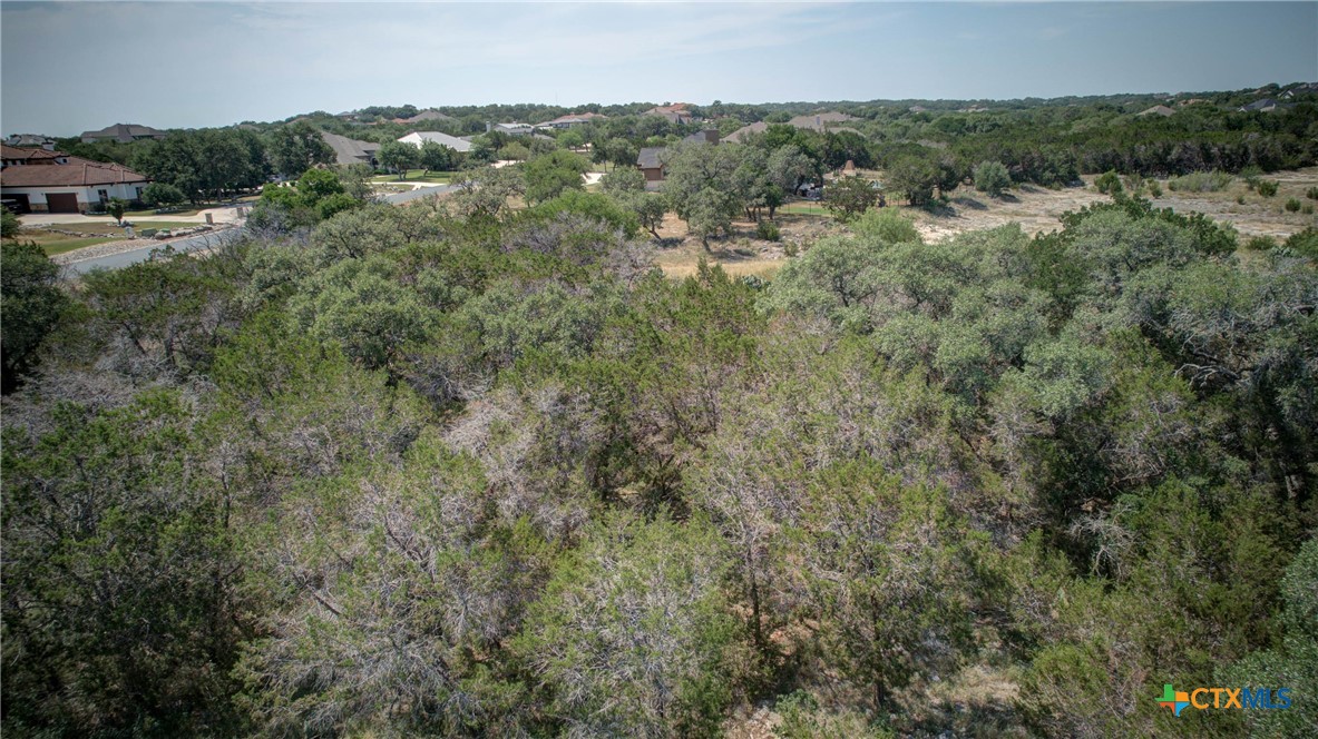 New Braunfels, Texas 78132, United States, ,Land,Active,136295