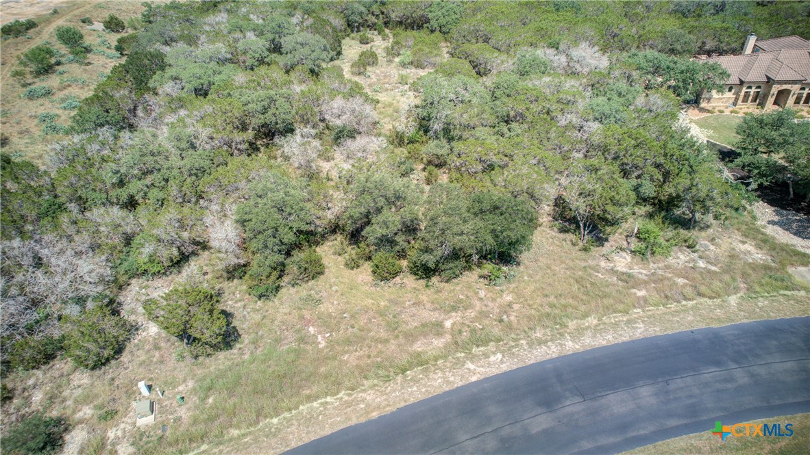 New Braunfels, Texas 78132, United States, ,Land,Active,136295