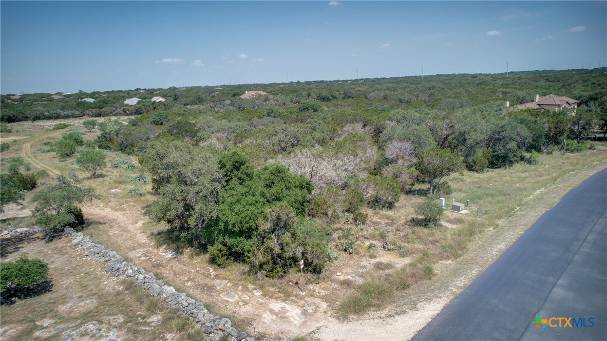 New Braunfels, Texas 78132, United States, ,Land,Active,136295