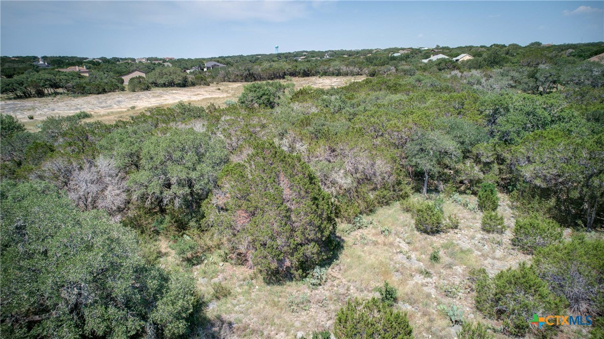 New Braunfels, Texas 78132, United States, ,Land,Active,136295