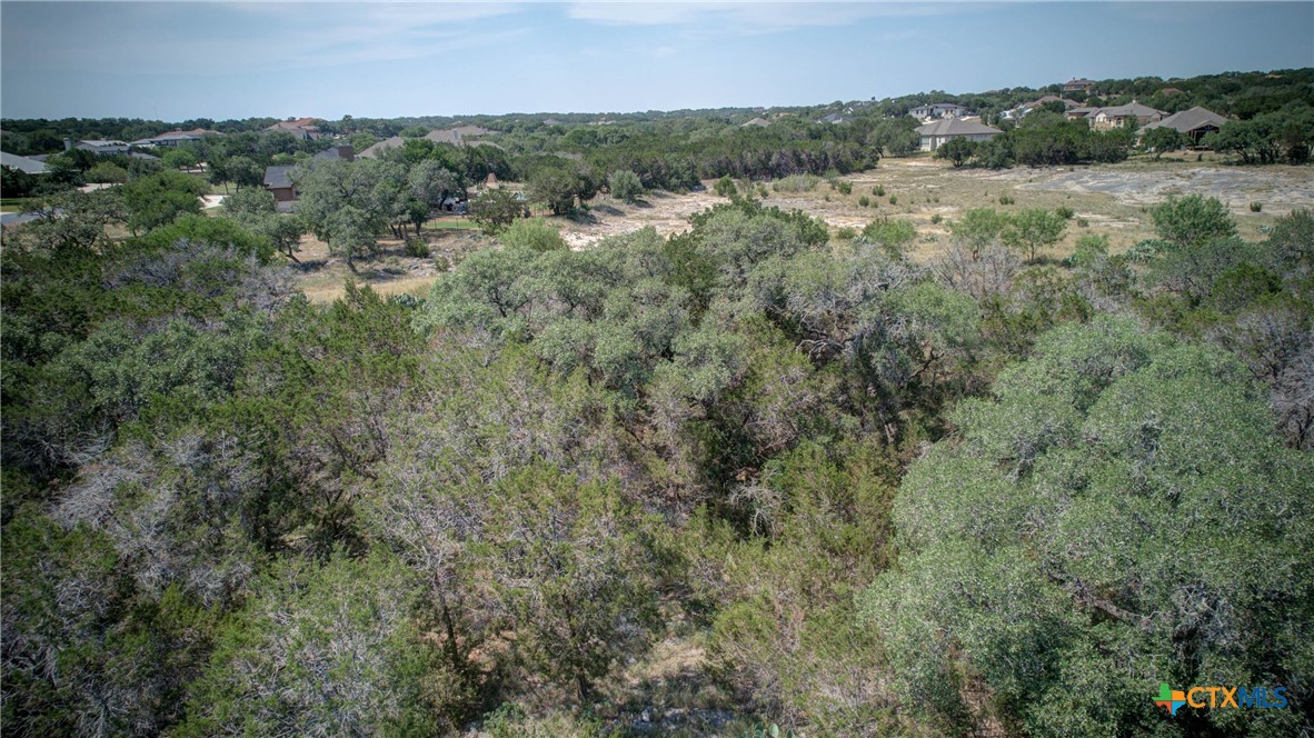 New Braunfels, Texas 78132, United States, ,Land,Active,136295