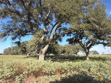 1665 Garrett Road Yoakum TX 77995